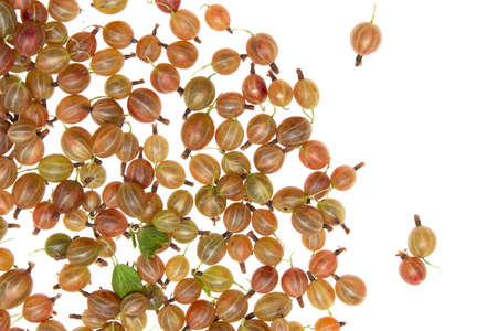 gooseberry berries on a white backgroundの写真素材