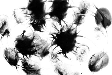 black drops of paint with stains on a white backgroundの写真素材