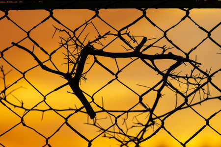 metal mesh silhouette on sunset background
