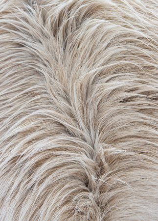 white animal fur as background
