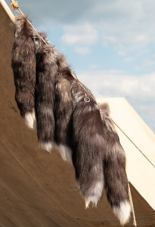 colorful animal fur for clothingの写真素材