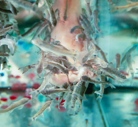 small fish do pedicure on their feetの写真素材