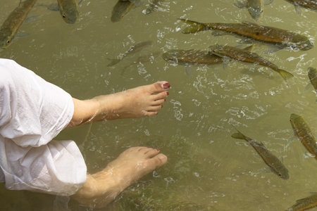 feet in river water with fishの写真素材