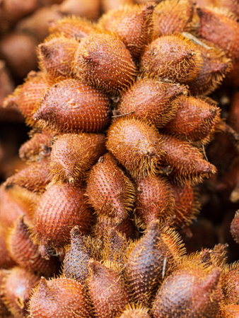 salak fruit with spines as background