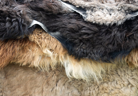 animal skin with fur as background