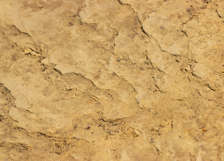 sandy dry soil as backgroundの写真素材