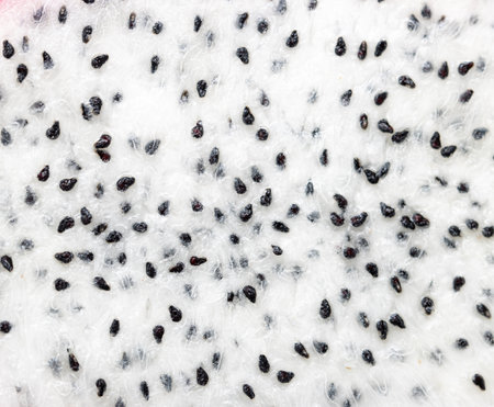 A close up of a white surface with black seeds scattered all over.の写真素材