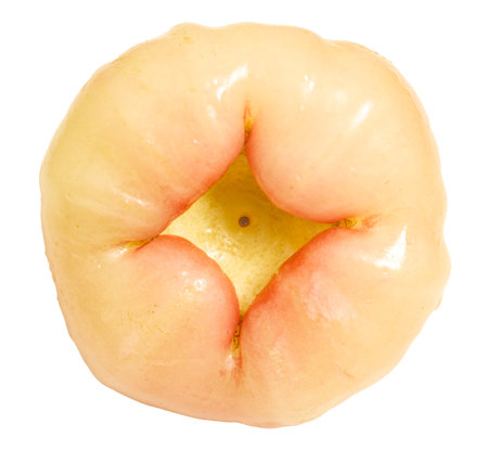 A white and pink fruit with a yellow center. The fruit is round and has a stem on topの写真素材