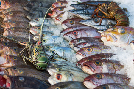 A large variety of fish and seafood are displayed in a market. The fish are arranged in a way that highlights their different colors and shapes. The market is bustling with activityの写真素材