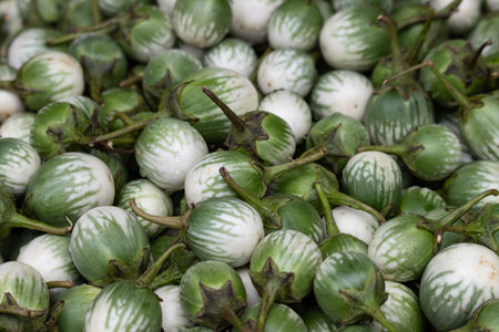 A bunch of green and white eggplant. The eggplant is in a pile and is surrounded by other eggplantの写真素材