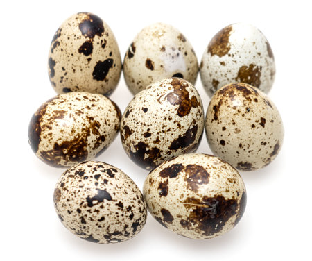 quail egg on white backgroundの写真素材