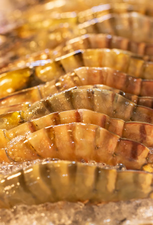 A close up of shrimp with a lot of detail. The shrimp are in a tray.の写真素材