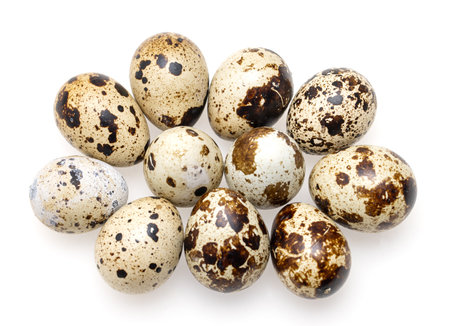 quail egg on white backgroundの写真素材