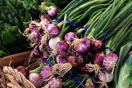 Red and Green Vegetable Hybrid oranically grown and on sale at the local Farmer's Marketの写真素材