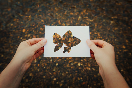 Woman hands holding a white paper sheet with the golden fish shape on a river bank background. Hope to catch the golden fish for fulfill the three wishes. Dream of success concept.の写真素材
