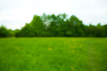 Sunny abstract green nature land background in a beautiful spring morning. Blurred backgroundの写真素材