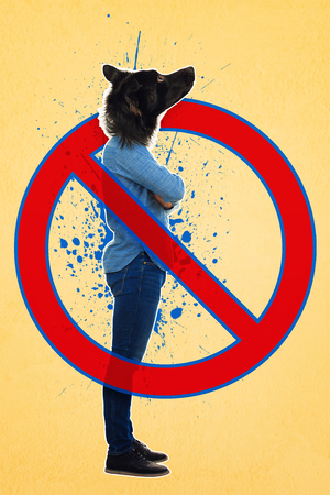 Contemporary art collage full length side view portrait serious dog headed man arms crossed with access restricted red sign. Modern style pop art zine culture concept. Funny border collie puppy head.の写真素材