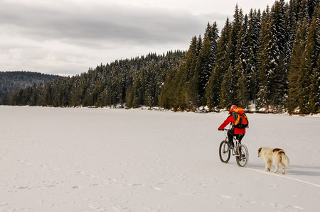 Mountain biker and shepherd dog on a frozen lake in  pine forest.の写真素材