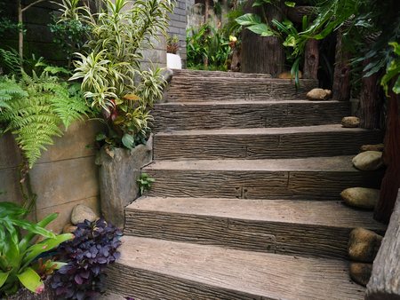 stone wood stairs way in garden with ornamental plantsの写真素材