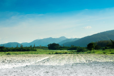 Panoramic cloudscape with a dog countrysideの写真素材