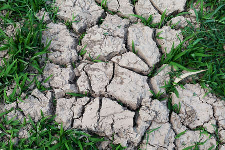 Cracked land with grassの写真素材