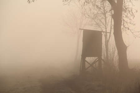 Fog in the morningの写真素材