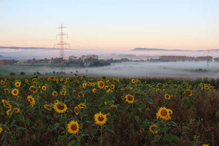 Landscape in the Mist at Emmerthalの写真素材