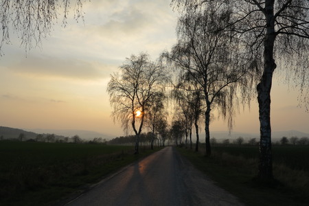 Sunrise in the fogの写真素材