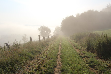 Landscape in the Mistの写真素材