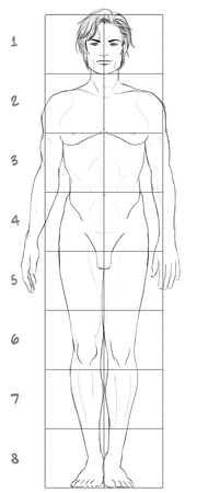 Male basic proportionsの写真素材
