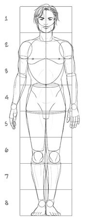 Male basic proportionsの写真素材