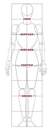 Male basic proportionsの写真素材