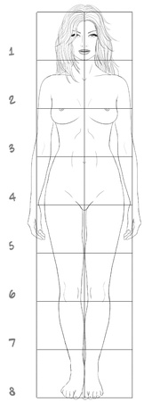 Female basic proportionsの写真素材