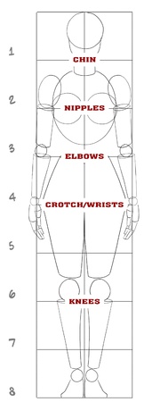 Woman basic proportionsの写真素材