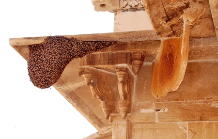 Bees with a honeycomb on a roof の写真素材