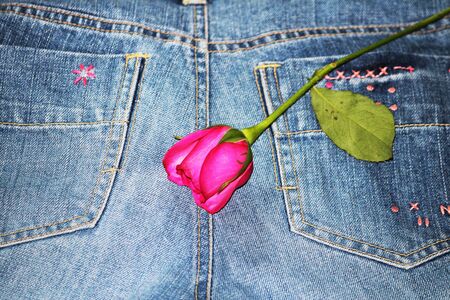 romantic blue denim jeans with red rose の写真素材
