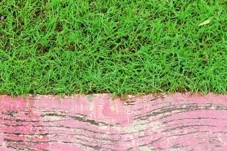 A close up  wooden patch in the gardenの写真素材