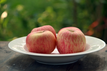The closeup beautiful fresh harvest of apples の写真素材