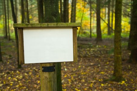 Empty information sign in a forest