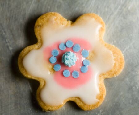 Colorful cookie with icing on a baking sheetの写真素材