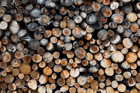 Collected firewood neatly sorted on a stackの写真素材