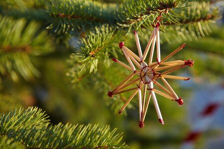 Green christmas tree decorated with a straw starの写真素材
