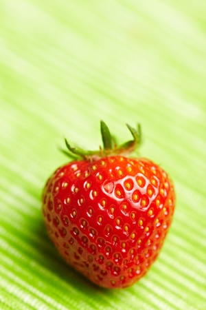 Small fresh red strawberry on green backgroundの写真素材
