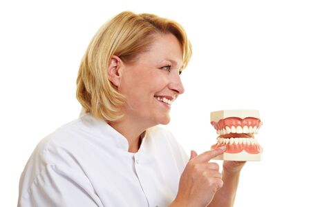 Happy female dentist showing oversized teeth model