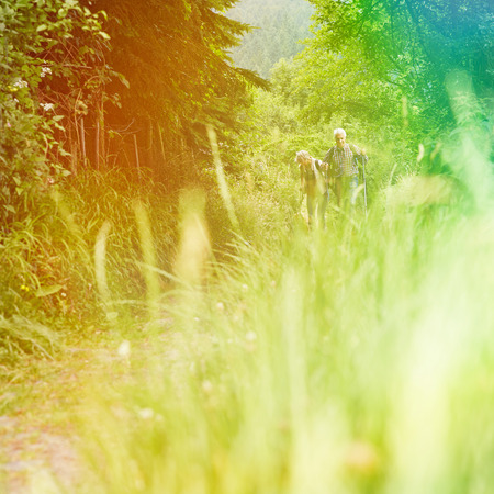 Senior couple walking on hiking trail in nature in summerの写真素材