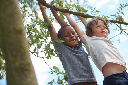 Two boys hanging from a tree and having fun in the natureの写真素材