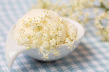 Homemade elderberry blossom ice cream ball with fresh elderflowersの写真素材
