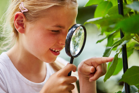 Curious child explores nature and looks at leaf with loupeの写真素材