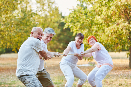 Tug of war competition with senior citizens in the parkの写真素材