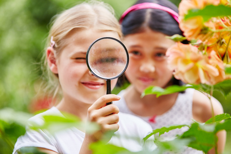 Children looking at flowers with curiosity using magnifying glass in natureの写真素材